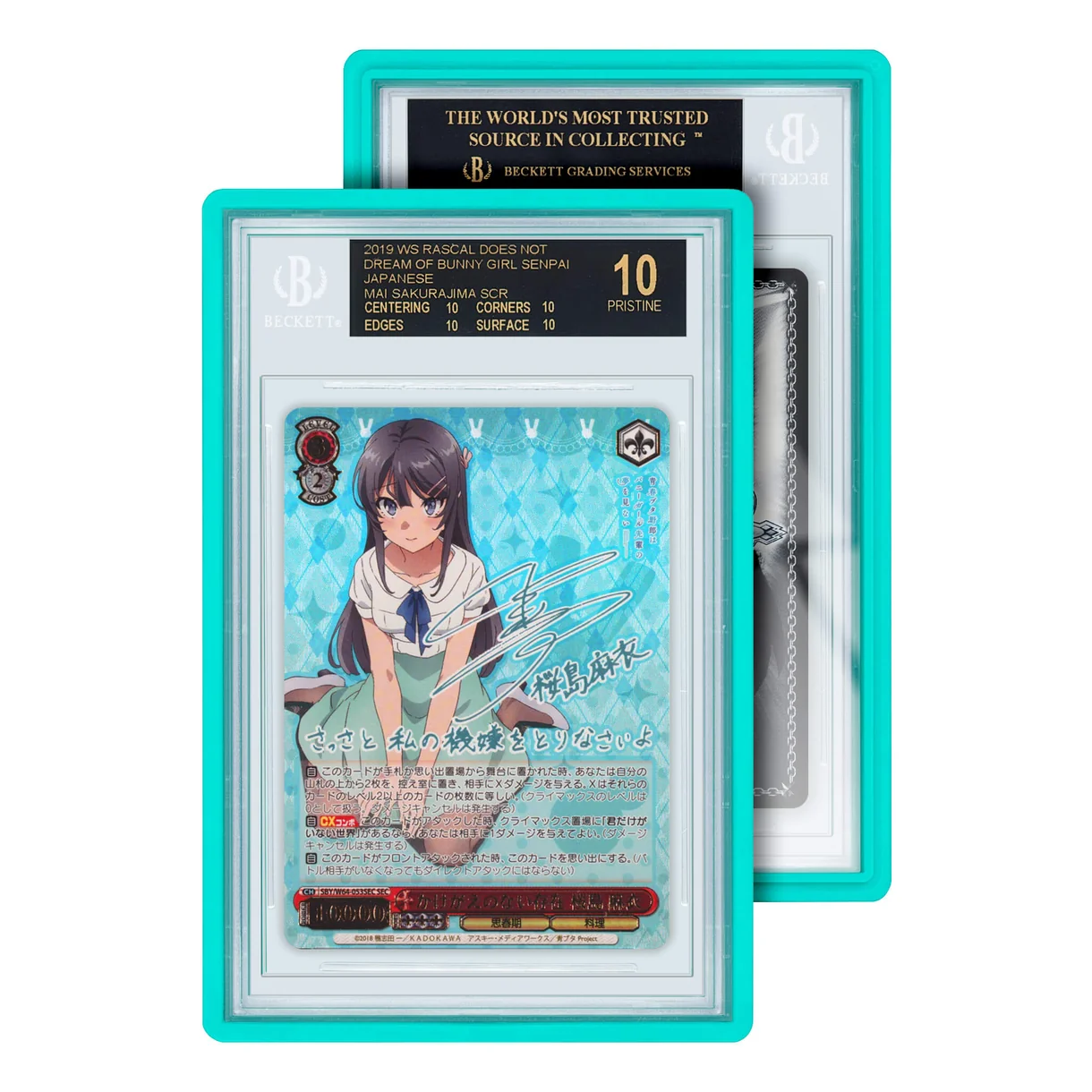 Buy GradedGuard Standard Case (BGS) - Image 6