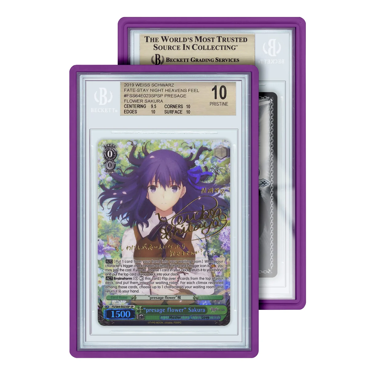 Buy GradedGuard Standard Case (BGS) - Image 9
